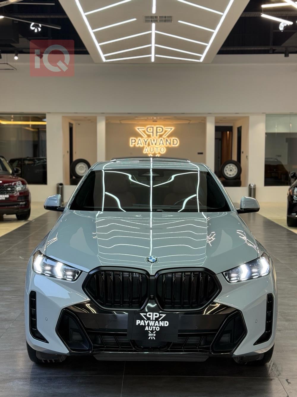 BMW X6